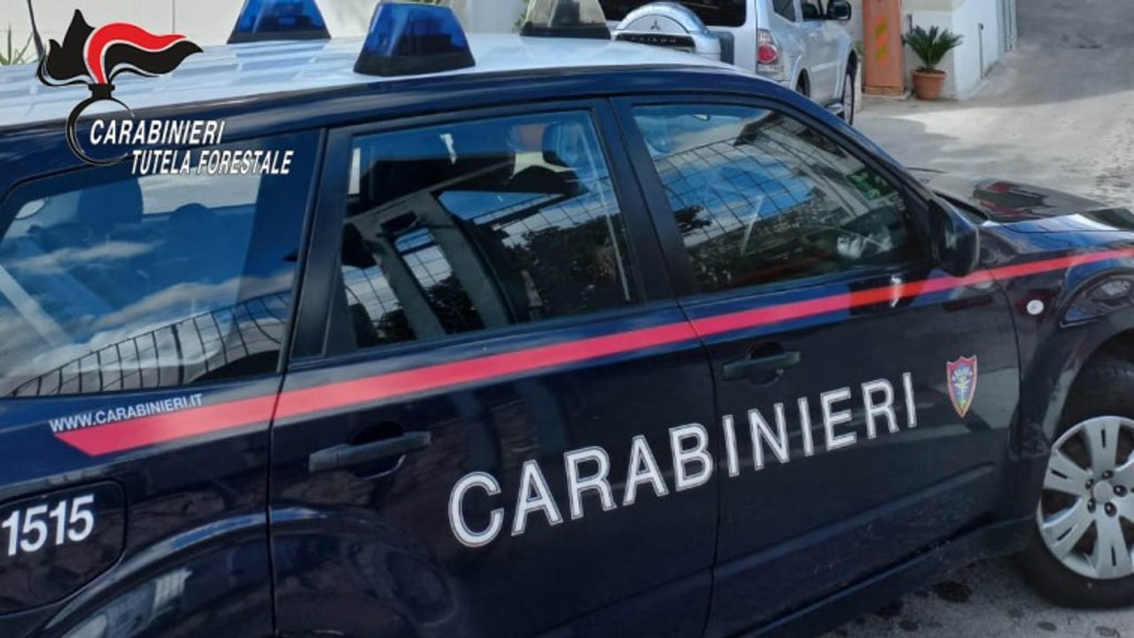 Solofra, i Carabinieri Forestali sequestrano una conceria