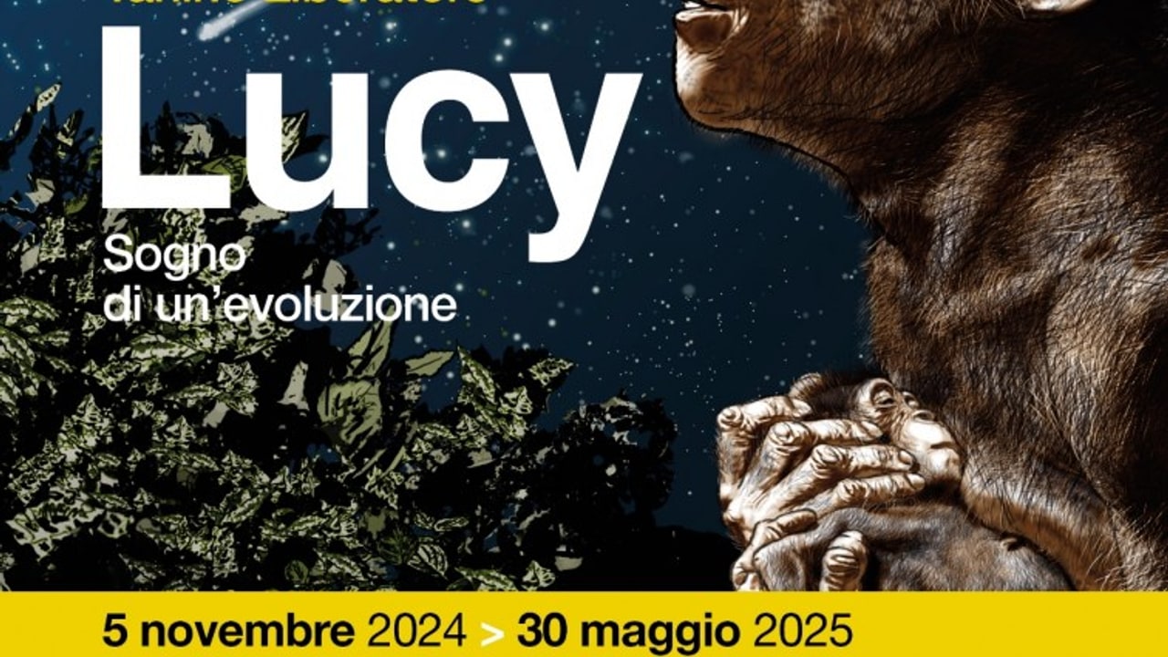 "Lucy Sogno di un'evoluzione": il Museo irpino ospita la mostra di Tanino Liberatore