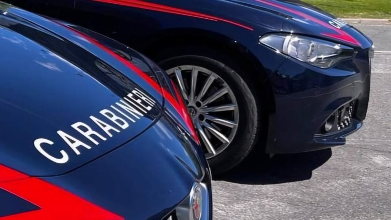 Vallo di Lauro, i Carabinieri intensificano i controlli con l’ausilio di unità speciali