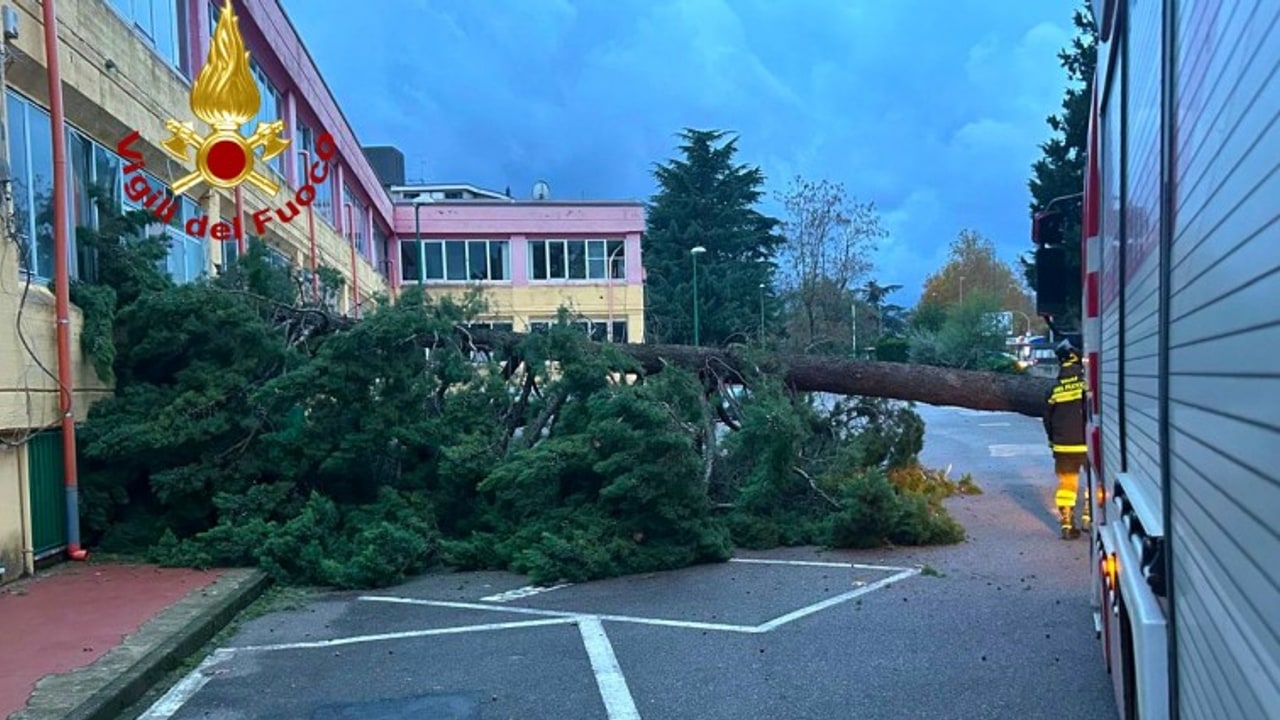 Cade albero nel parcheggio del "Dorso": domani Itis chiuso