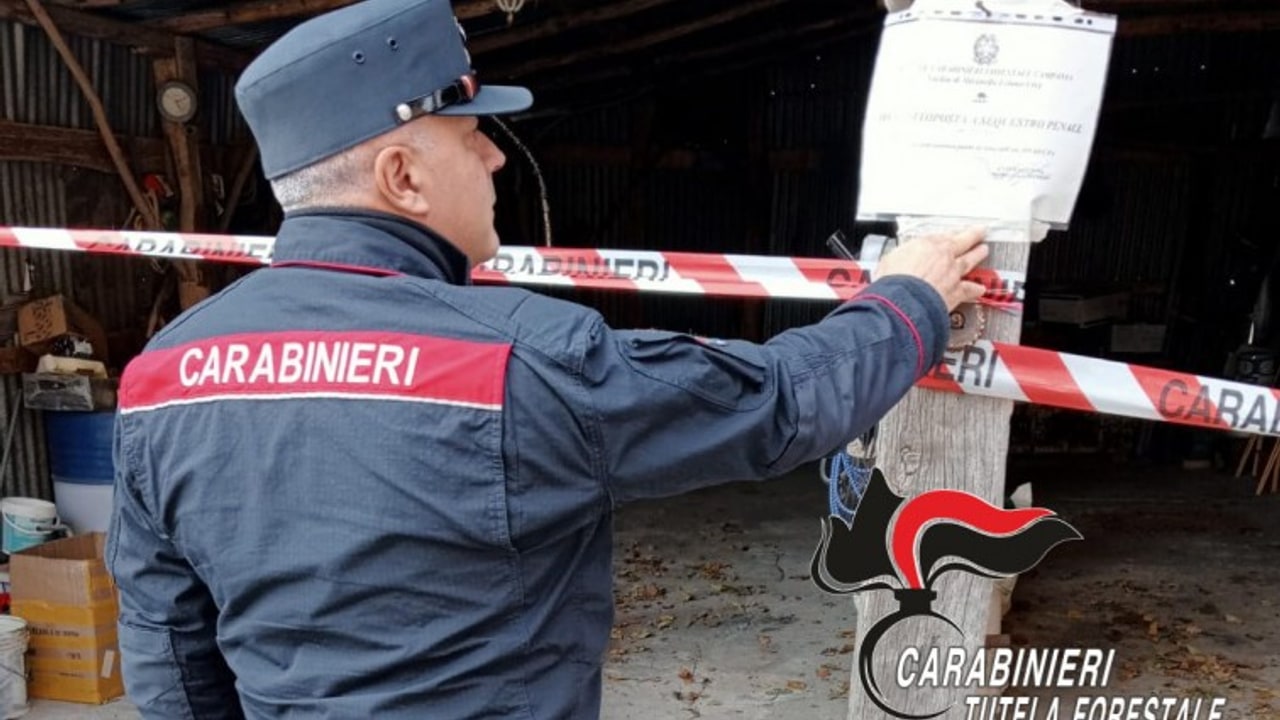 I Carabinieri Forestali sequestrano una conceria e chiudono un'officina abusiva