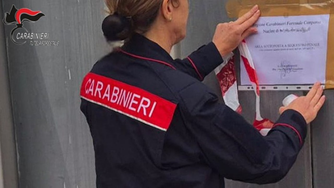 Lauro, i Carabinieri sequestrano un'autofficina