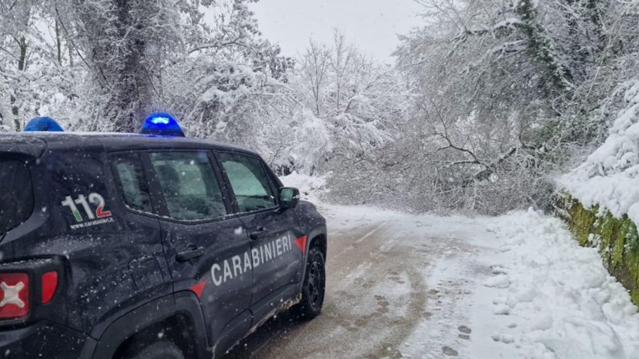 Andretta, cadono alberi per la neve sulla SP 129