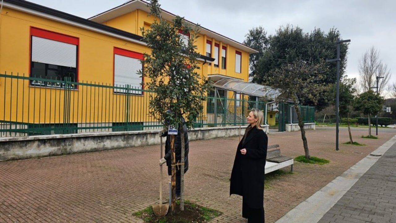 &ldquo;Un albero per abitante&rdquo;, il Comune ha piantumato 84 nuovi esemplari in tutta la citt&agrave;