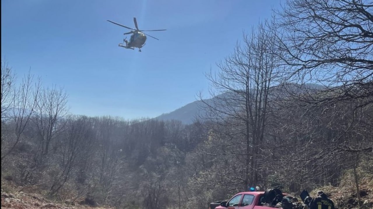 Lioni, cade da albero: uomo trasportato in eliambulanza al Moscati