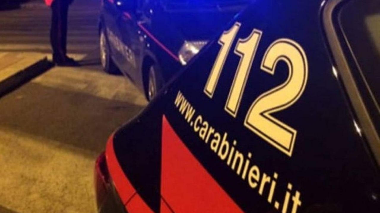 Montefalcione, i Carabinieri scoprono la finta vendita di un cucciolo on line
