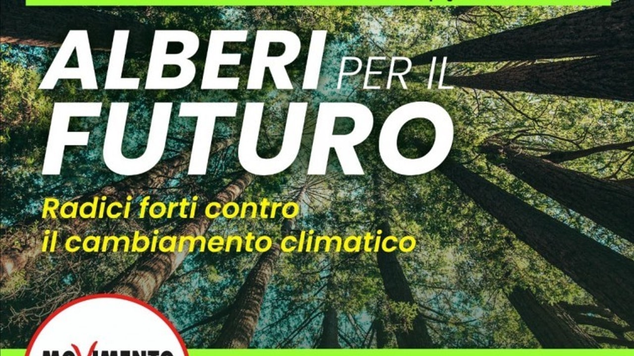 Avellino, un albero di tiglio in memoria di Rita Sciscio