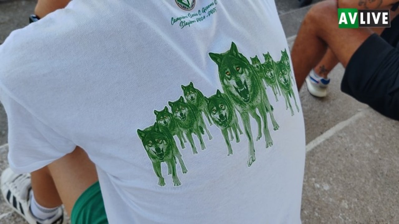 Sondaggio tra i tifosi dell'Avellino a 10 giorni dall'inizio del campionato