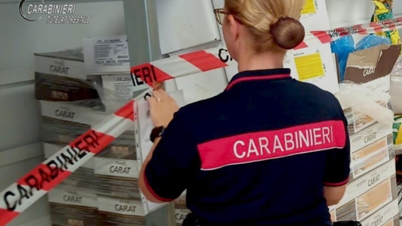 Ospedaletto d’Alpinolo, i Carabinieri sequestrano una tonnellata di prodotti alimentari scaduti