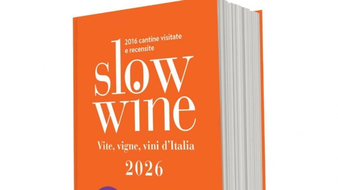 Guida Slow Wine 2026: l’Irpinia è presente nei riconoscimenti delle Bottiglie e delle Chiocciole