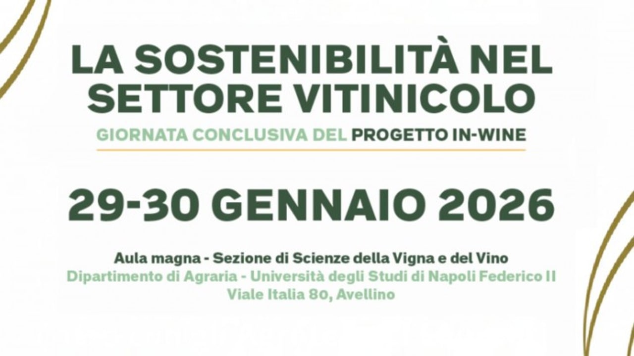 "La sostenibilità nel settore vitinicolo", al Polo Enologico la giornata conclusiva del progetto In-Wine