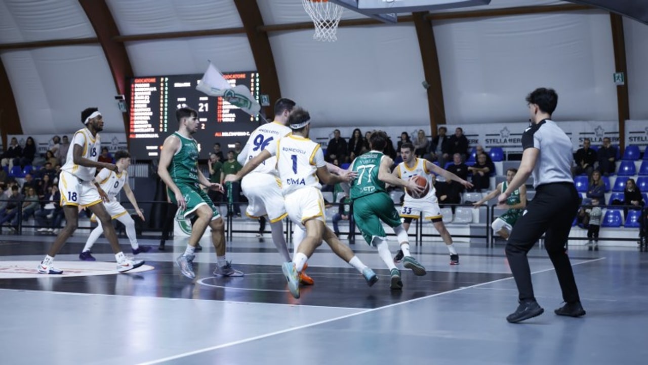 Scandone Avellino, quinto successo di fila: Stella EBK Roma battuta per 55-62