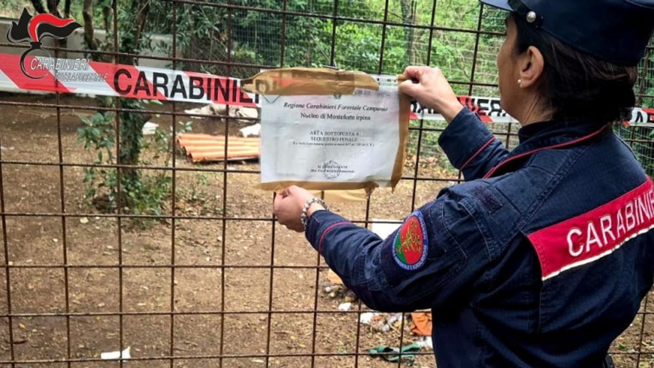 Avella, dieci cani maltrattati ed in pessime condizioni: denunciato il proprietario