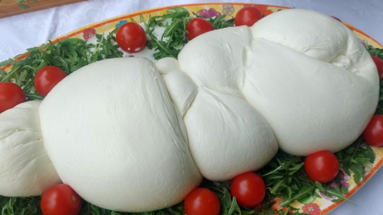 Coldiretti Campania: "Mozzarella di bufala, la legge sui reati agroalimentari dalla parte della qualità"