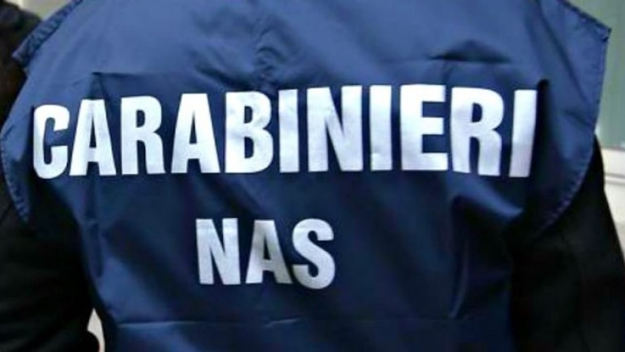 Blitz dei Nas di Salerno: chiusure e maxi-sequestri anche in Irpinia