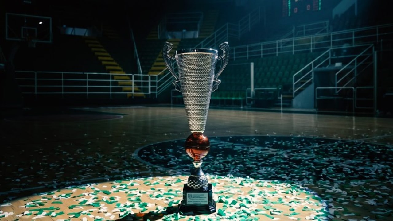 Scandone Avellino, domani festa con i tifosi al PalaDelMauro
