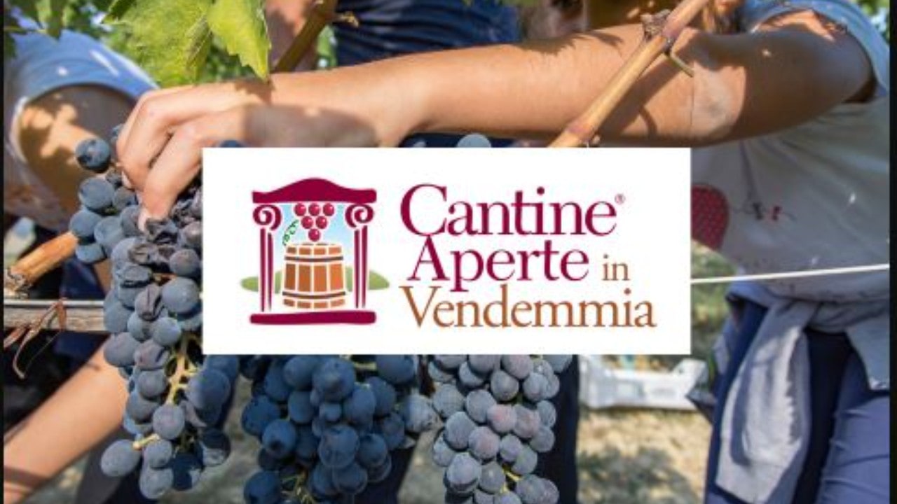 Cantine Aperte in Vendemmia, ecco gli ultimi appuntamenti nelle vigne in Irpinia
